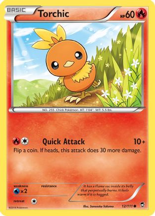 Torchic 012  - Common