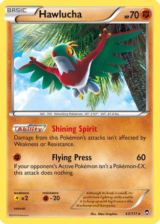 Hawlucha 063  - Holofoil - Holo Rare