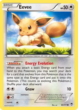 Eevee 080  - Common