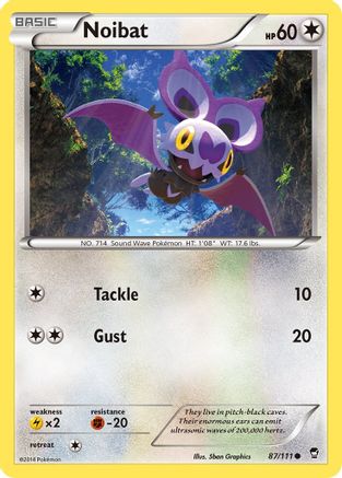 Noibat 087  - Common