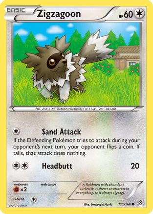 Zigzagoon (111/160) [XY : Primal Clash] 