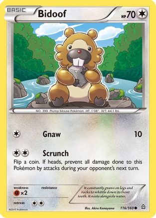 Bidoof 116  - Common