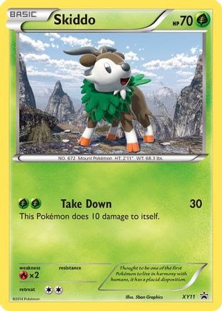 Skiddo - XY11  - Holofoil - Promo