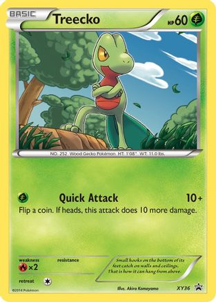 Treecko - XY36  - Holofoil - Promo