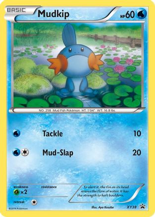 Mudkip - XY38  - Holofoil - Promo