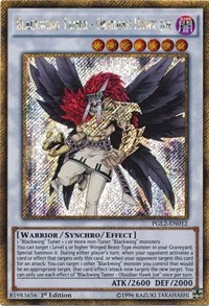 Blackwing Tamer - Obsidian Hawk Joe (PGL2-EN012) - Gold Secret Rare