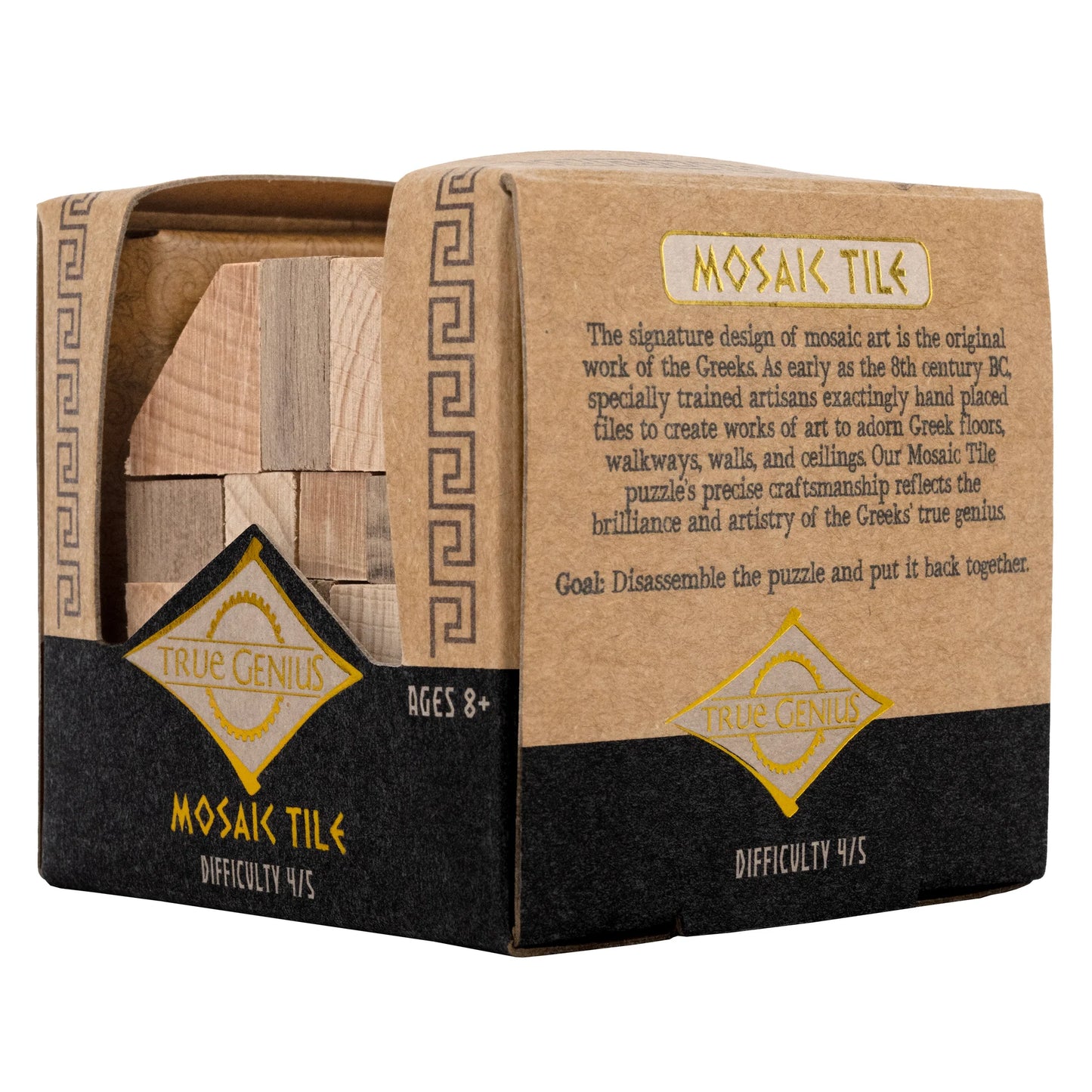 Logic Puzzle - True Genius - Mosaic Tile