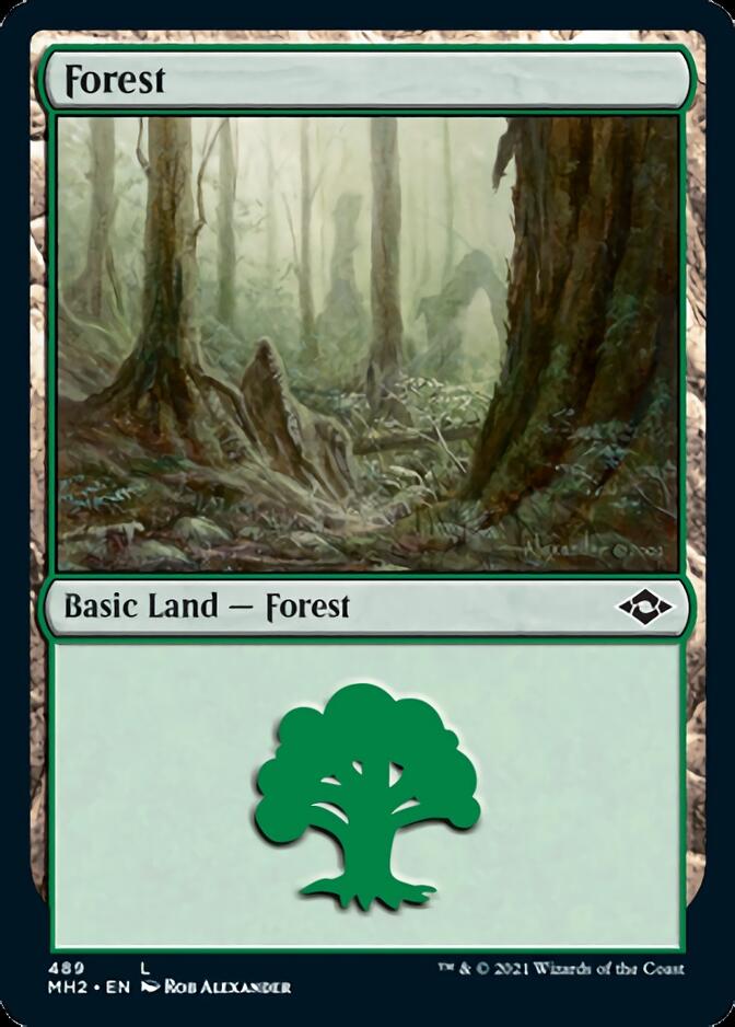 Forest (489) (MH2-489) - Modern Horizons 2