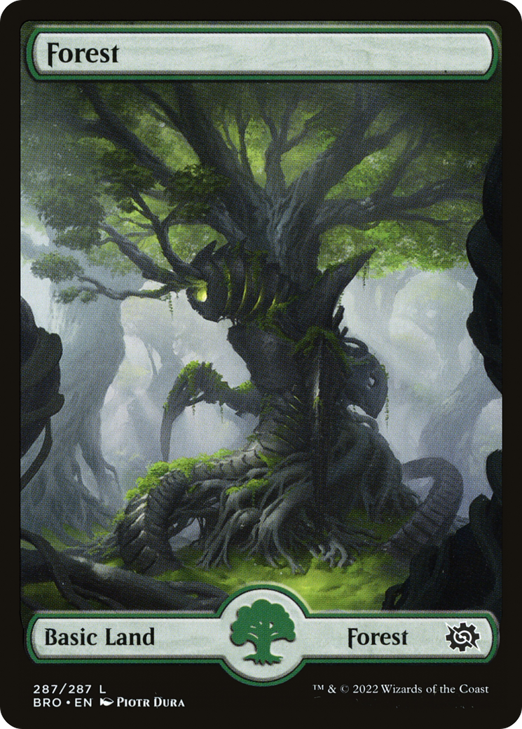 Forêt (287) [La guerre des frères] 