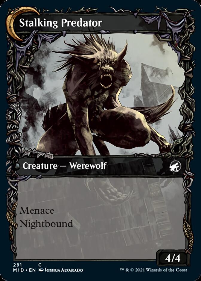 Shady Traveler // Stalking Predator (MID-291) - Innistrad: Midnight Hunt: (Showcase, Double Faced Transform)